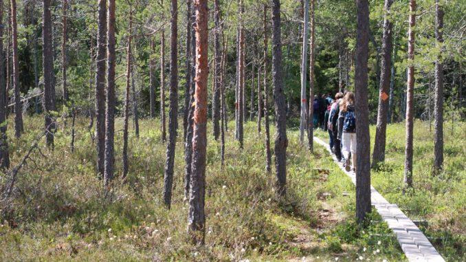 Stig med människor i en skog.