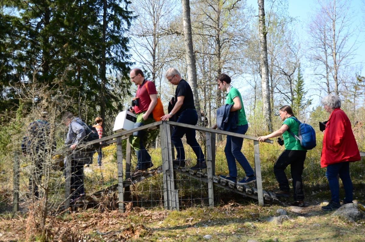folk vandrar i naturen över en liten bro