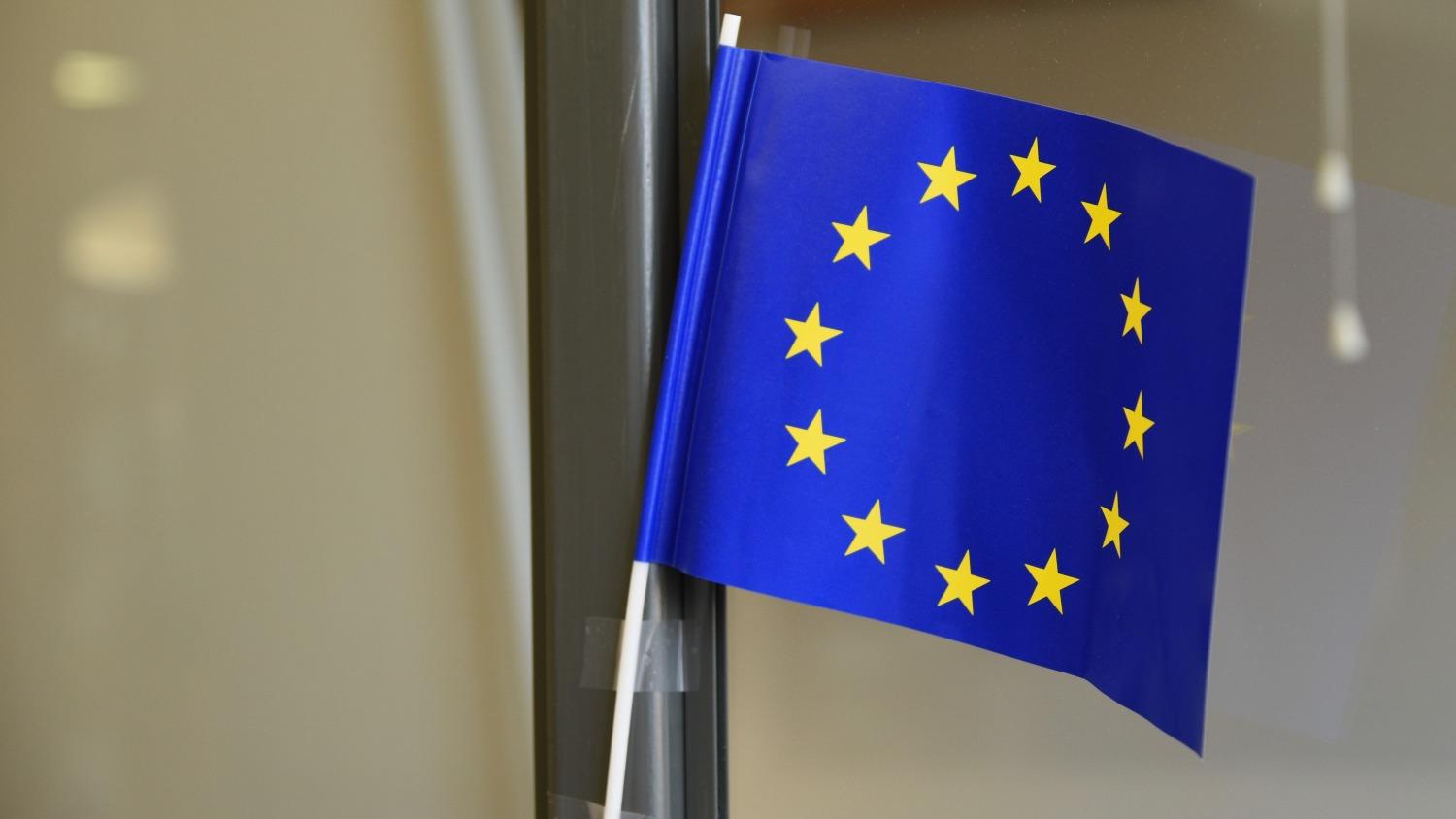 EU:s flagga i miniatyr.