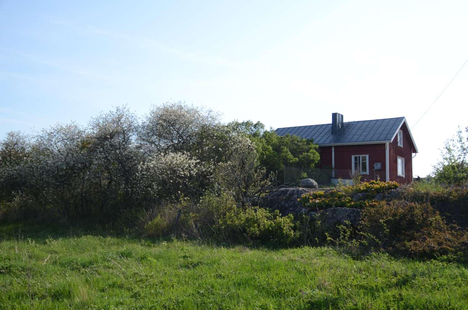 Ett hus med många blommande körsbärsträd.