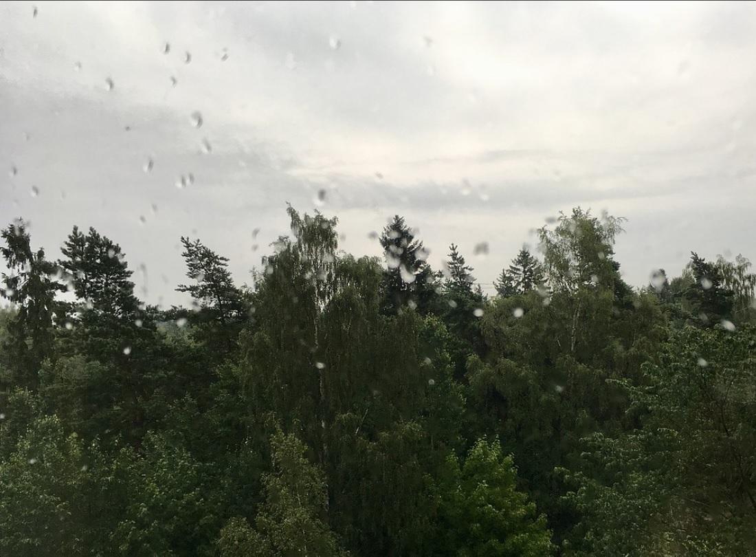Regnväder