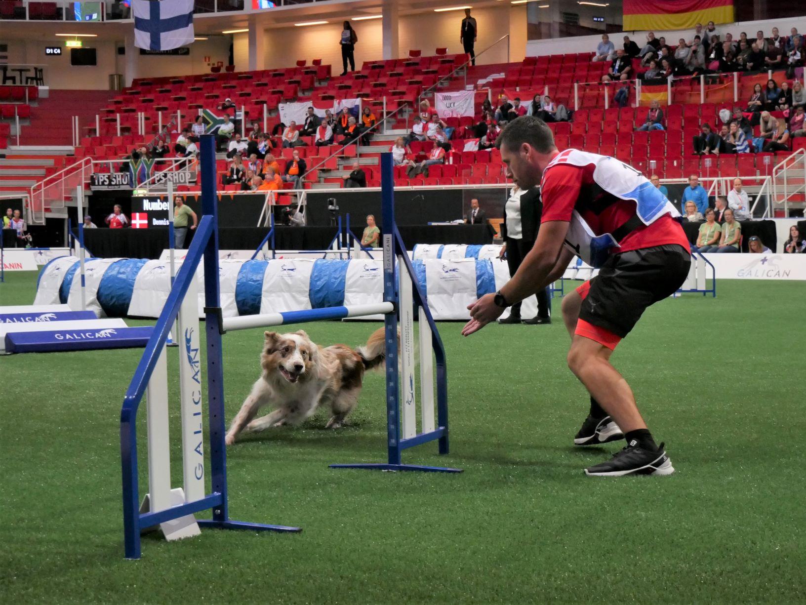 agility