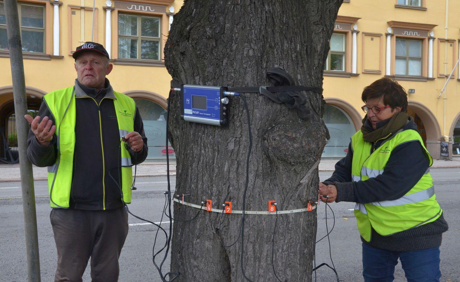 Man och kvinna undersöker träd i stadspark