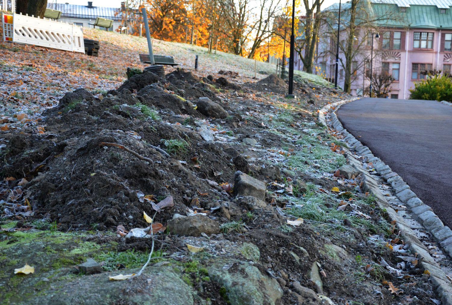 Bild på delvis uppgrävd park