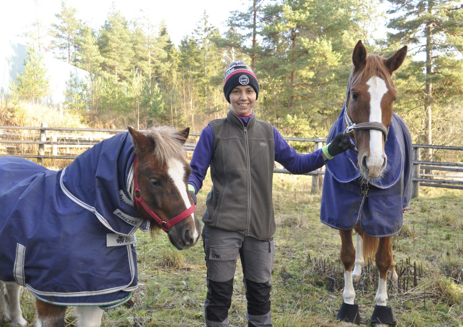 en person håller i två hästar i en hage