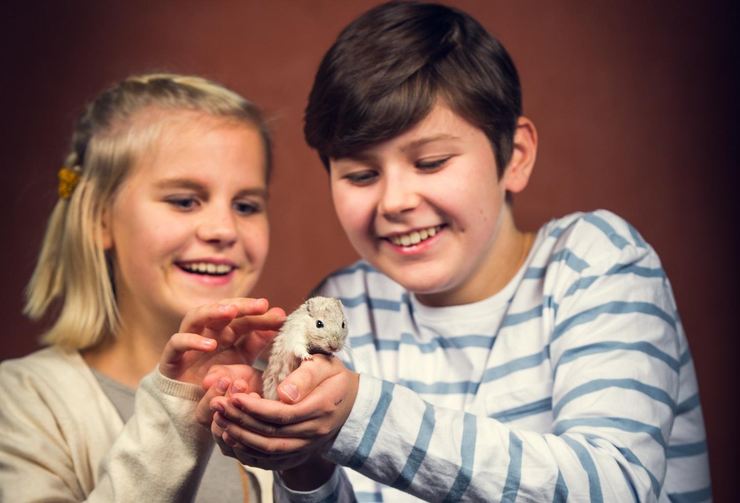 Två barn och en gerbil.