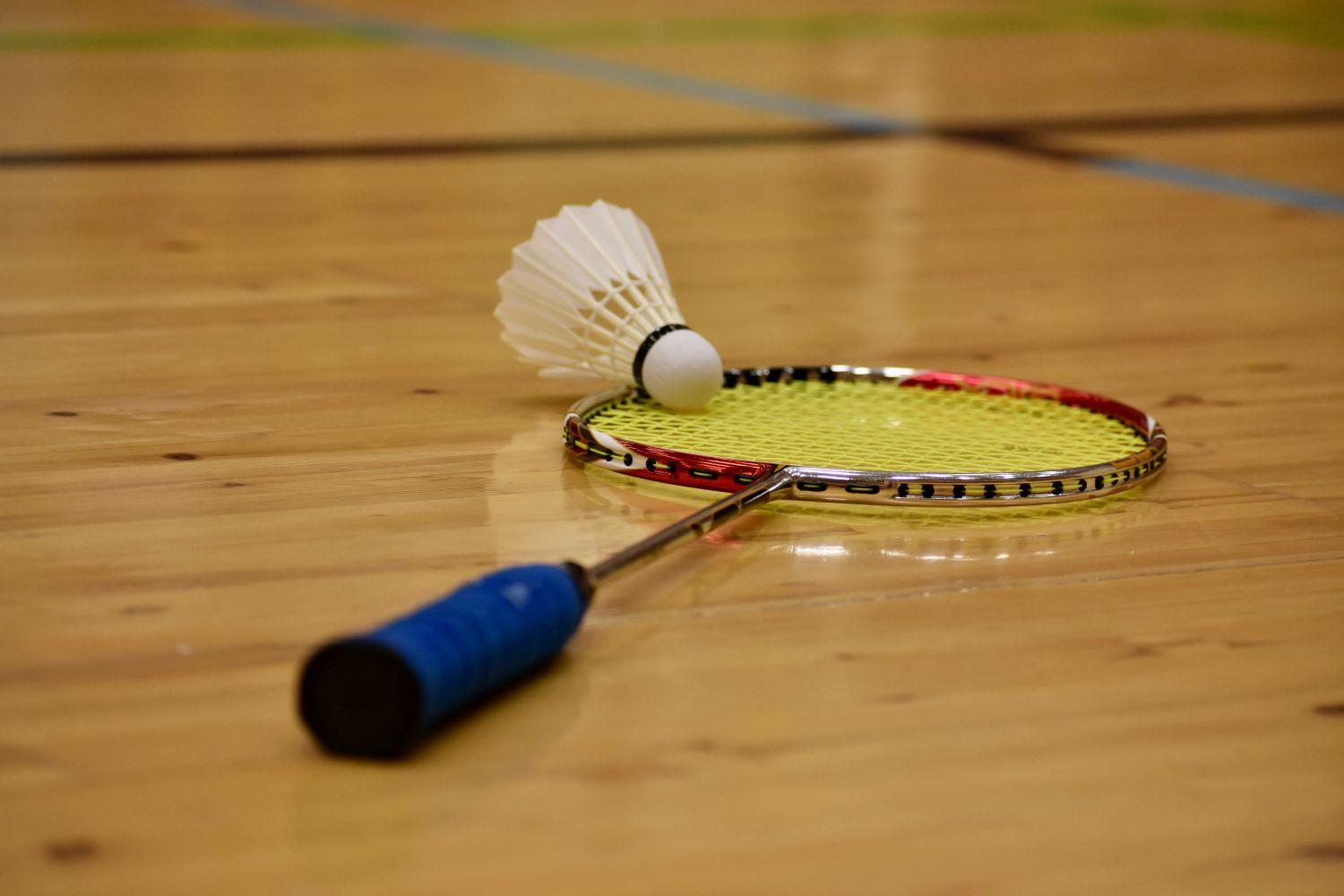 En badmintonracket och en boll.