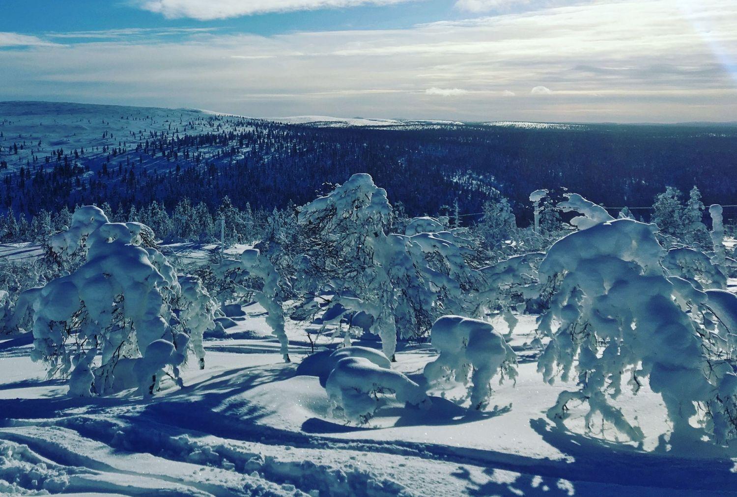 Fri att använda. Sini Nara / Pexels