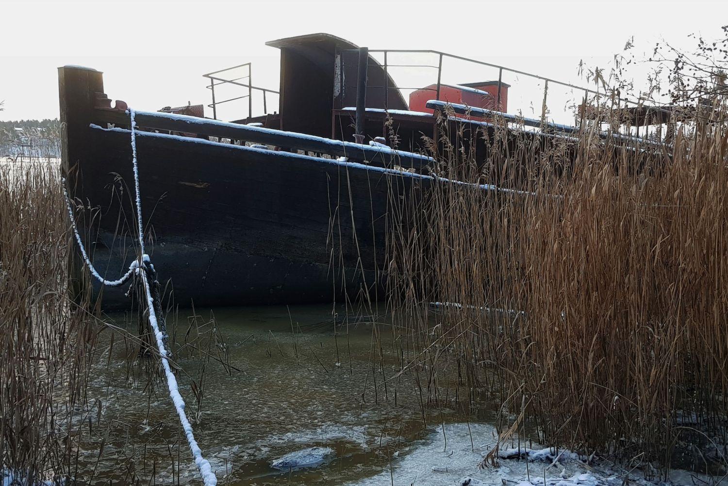 Skrotbåt i vassruggen