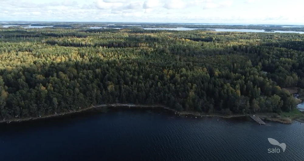 Flygfoto. Strandlinje, skog och hav syns.