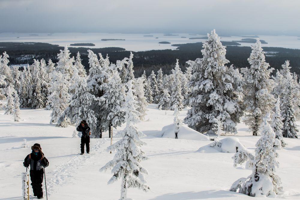 Snötäckt landskap