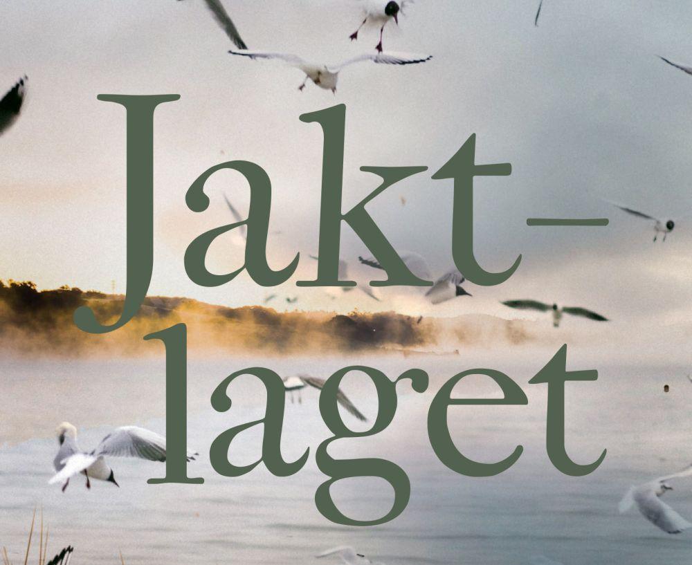 Bokpärm med titel och måsar i bakgrunden.
